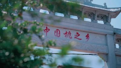 湖北首个桃产业气象指数保险落地枣阳 35万亩桃园获“气象保护伞”