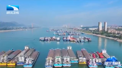 洞见湖北“新”未来丨湖北东湖实验室：抢占“智能航运”新赛道