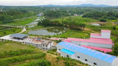 浠水县对23家单位农产品产地冷藏保鲜设施建设项目补贴资金400万