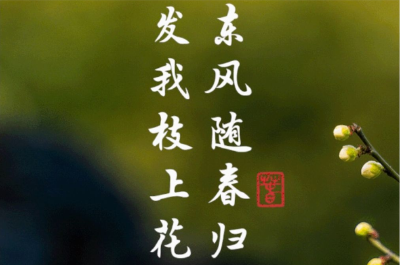 学习进行时｜读习近平总书记春日寄语 听新征程奋进之声