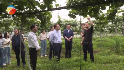 【视频】国家统计局湖北省调查总队来我县调研