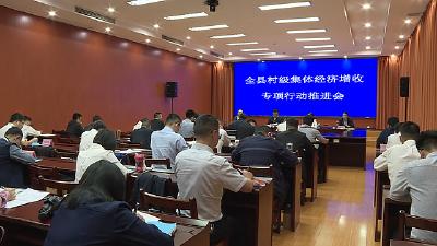 我县召开一季度村级集体经济增收专项行动现场推进会