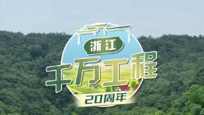 “千万工程”20年 | 浙江：让文艺行走在绿水青山间