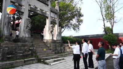 【视频】省委宣传部副部长陶宏家来我县调研我县文化产业工作
