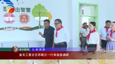 【视频】省关工委主任苏晓云一行来我县调研
