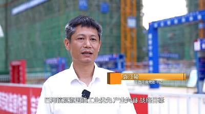 【项目建设攻坚行动】 专访巴河镇党委书记袁江陵