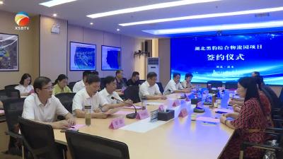 【视频】湖北黑豹综合物流园项目落户我县巴河临空经济区