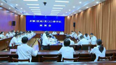 谈看法 定目标 抓落实 乡镇党委书记座谈会召开