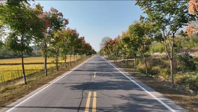 县交通运输局：强化路域环境整治 提升农村公路品质