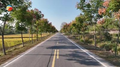 【视频】县交通运输局：强化路域环境整治 提升农村公路品质