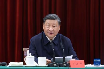 习近平两会时刻丨因地制宜，向“新”而行