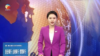 【视频】县委农村工作领导小组暨实施乡村振兴领导小组会议召开