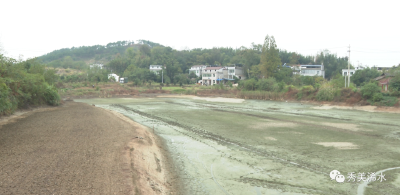 监督赋能 守牢耕地红线