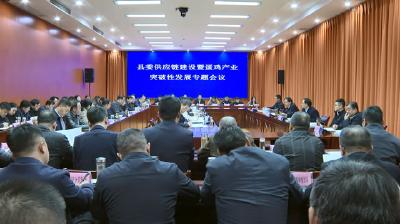 县委供应链建设暨蛋鸡产业突破性发展专题会议召开