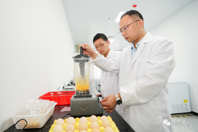 浠水召开蛋鸡产业突破性发展座谈会