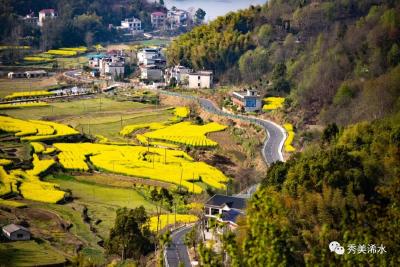 付宇主持召开多彩旅游路建设工作调度会