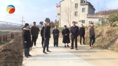 【视频】浠水县政协第四助力小组到兰溪镇开展“委员助力乡村振兴行动”
