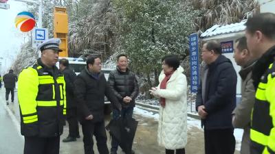 【视频】汪湘云督导检查道路交通安全工作