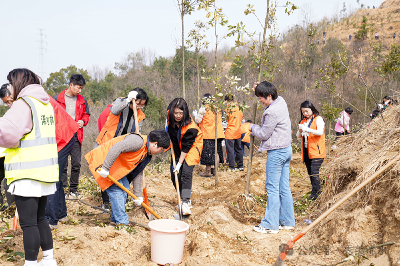 陈正红、邓中麟等县领导参加义务植树活动