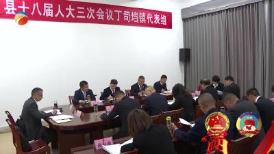 【视频】李国民参加丁司垱镇代表组审议