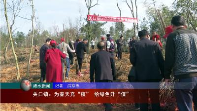 浠水关口镇：为春天充“植” 给绿色升“值”