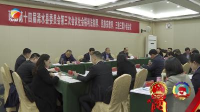 【视频】夏世清参加社会福利法制界、民族宗教界、三胞三属小组审议