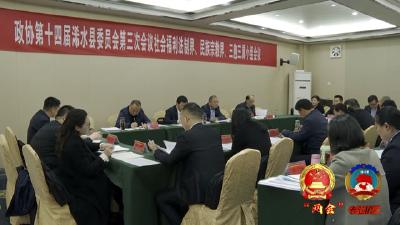 夏世清参加社会福利法制界、民族宗教界、三胞三属小组审议