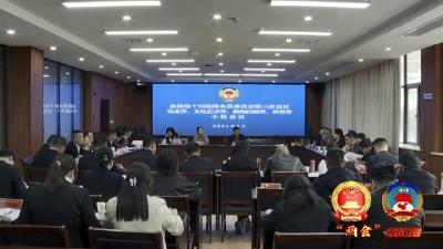 胡婷参加农业、文化艺术、新闻出版、体育界委员小组审议