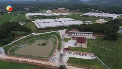 【视频】浠水县畜牧兽医发展中心为生猪规模场申报贷款贴息143万余元