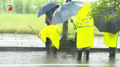 【视频】强风暴雨来袭 县城管执法局“汛”速出击