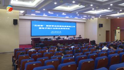 【视频】浠水县召开“五经普”国家事后质量抽查迎检工作暨企业电子统计台账建设推进会