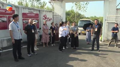 【视频】浠水县政协组织开展扶残助残政策落实情况专题调研