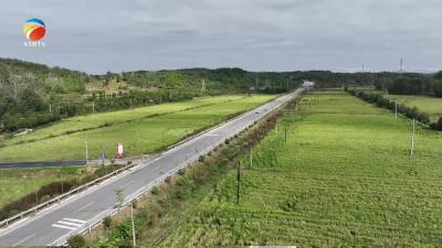 【视频】浠水县G220东深线这段路获评全省首批美丽国省道