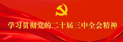 【学习贯彻党的二十届三中全会精神 奋战三季度 决胜下半年】专访专访丁司垱镇负责人