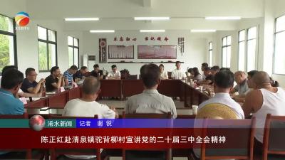 【视频】陈正红赴清泉镇驼背柳村宣讲党的二十届三中全会精神