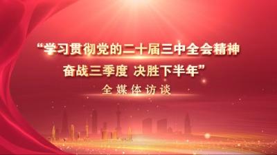 【学习贯彻党的二十届三中全会精神 奋战三季度 决胜下半年】专访绿杨乡、县重点项目服务中心负责人