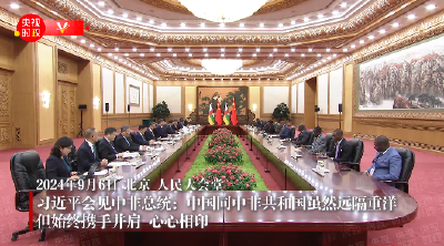 独家视频丨习近平会见中非总统：中国同中非共和国虽然远隔重洋 但始终携手并肩 心心相印
