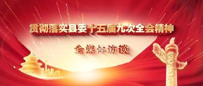 【贯彻落实县委十五届九次全会精神】专访汪岗镇、丁司垱镇负责人