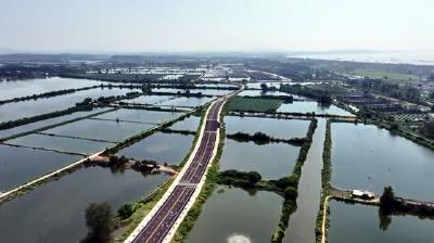 【简讯】散花示范区滨江大道延长线项目正式通车