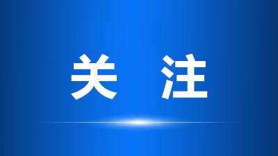 盛世莲花谱华章 ——习近平总书记引领具有澳门特色的“一国两制”实践取得举世瞩目成就