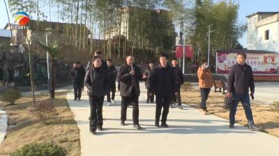 【视频】浠水县政协到洗马镇开展“委员助力乡村振兴行动”