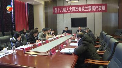 【视频】付海强兰溪镇代表组审议