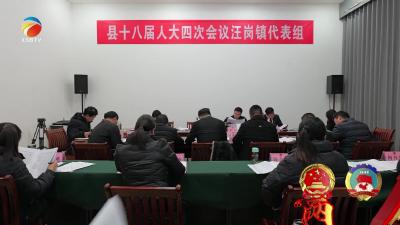 【视频】秦孟、邓爱萍参加汪岗镇代表组审议