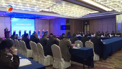 【视频】市金融助力支点建设暨2025年金融“早春行”活动在我县举行