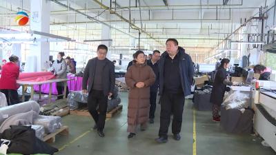 【视频】邓中麟调研重点企业发展情况