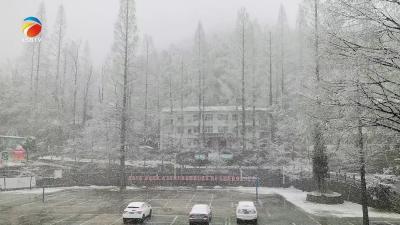 【视频】银装素裹三角山 初春飘雪美如画