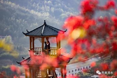 全国“村晚”示范展示点！这个村入选