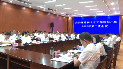 浠水县委党的建设和人才工作领导小组会议召开