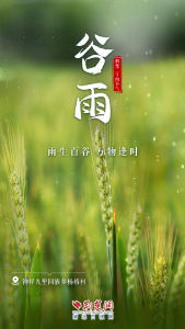 文化中国行｜谷雨：雨生百谷，万物逢时