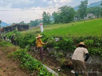 浠水绿杨乡绿杨桥村：干群同修“拦水堰” 农田“喝上”“幸福水”